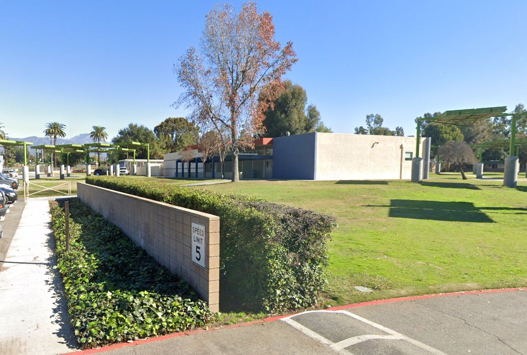 A sunny outdoor scene with a low brick wall and neatly trimmed hedges. Behind, a grassy lawn and minimalist building. Sparse trees add autumn color.
